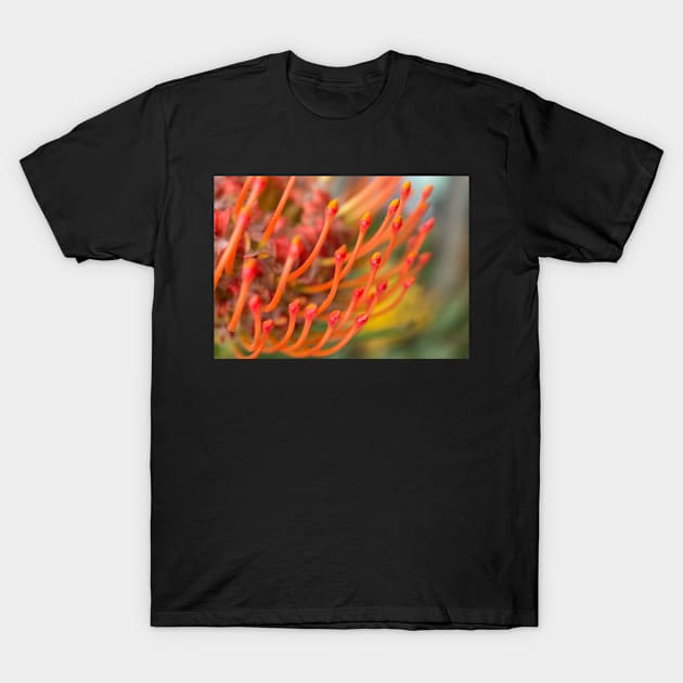 Pincushion Orange Flower T-Shirt by mariola5